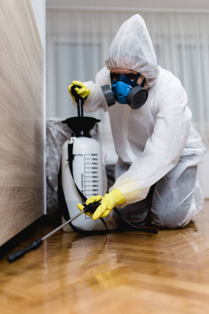 Best Bed Bug Extermination  in South Greensburg, PA